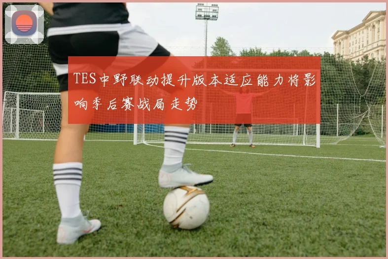 TES中野联动提升版本适应能力将影响季后赛战局走势